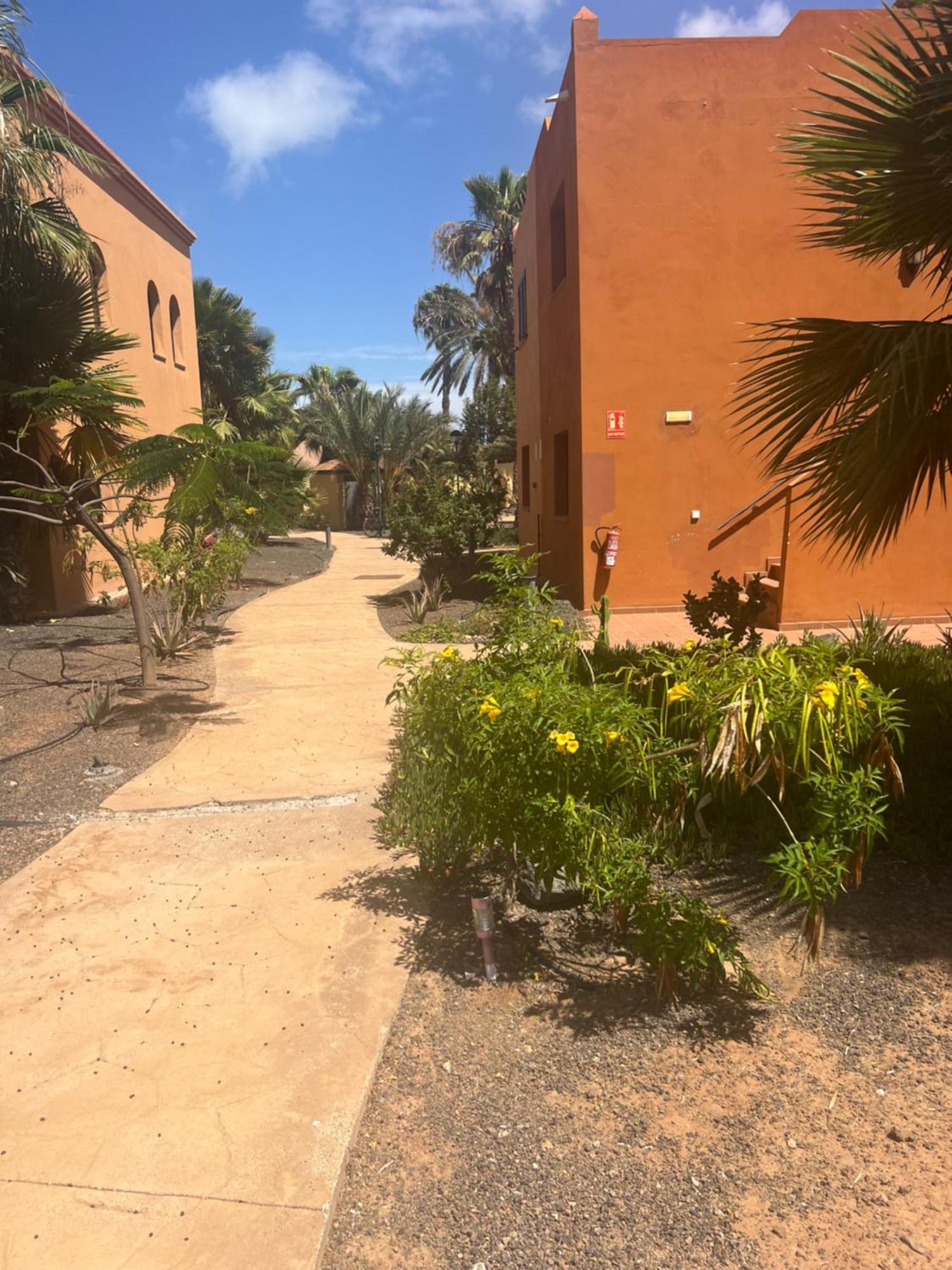 Paraiso Del Mar Corralejo Bagian luar foto